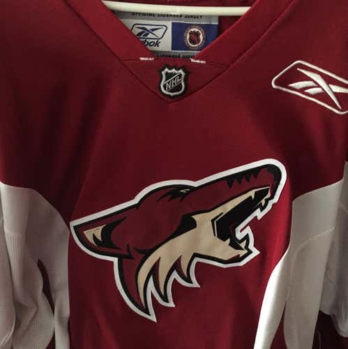 Arizona Phoenix Coyotes Practice Jersey XL