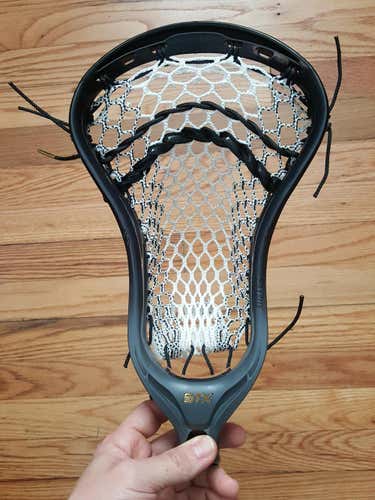 Custom Dyed STX Stallion 700 Head