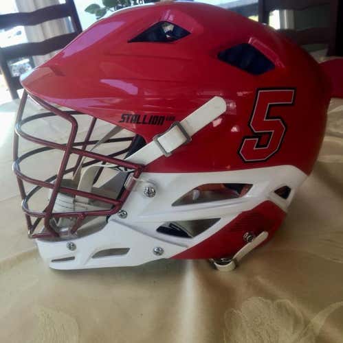 Cornell Stallion 600 Helmet (2016)