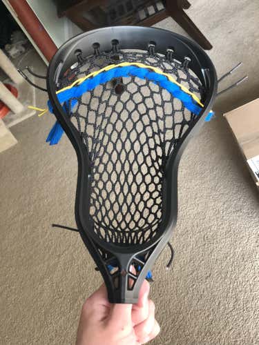 New StringKing Mark 2D Head No Trades