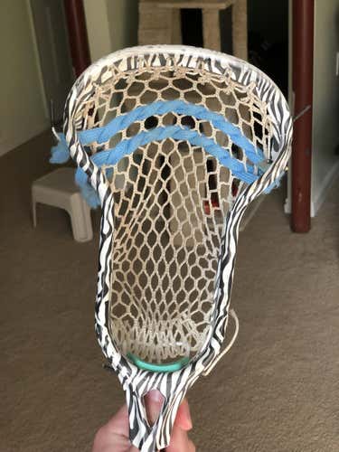 Tribe 7 Save 7 Zebra No Trades