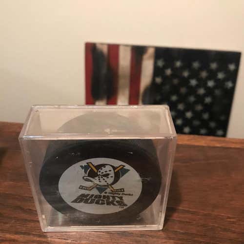 Hockey Pucks