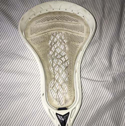 warrior warp fat boy