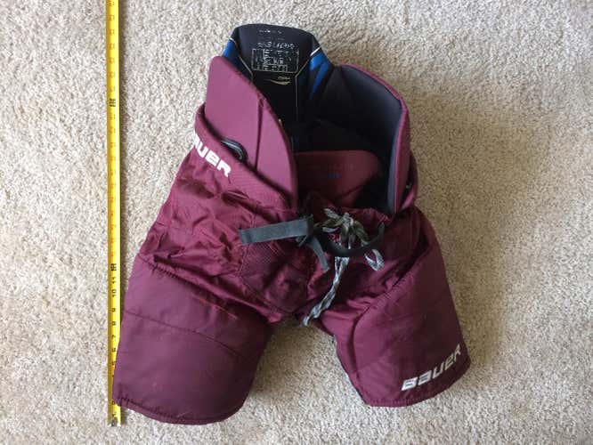 Bauer Nexus 800 Pants Senior