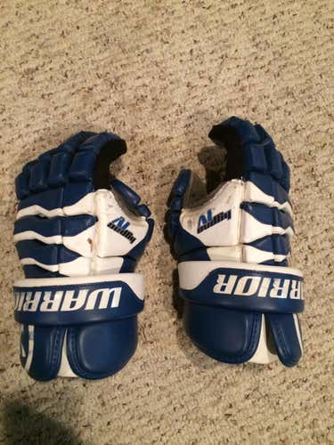 Warrior Hypno IV Gloves