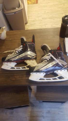 1X 9.5D Skates