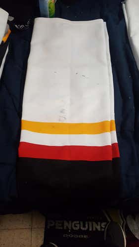 WBS Penguins socks