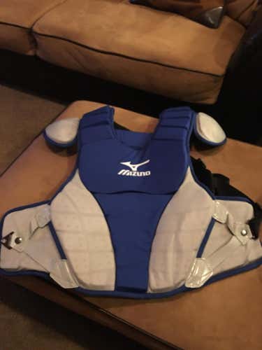 New Mizuno Samurai Chest Protector