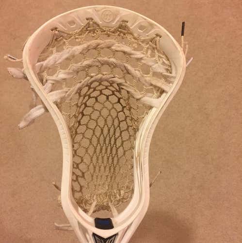 Warrior Evo 5 Head ECD 2.0
