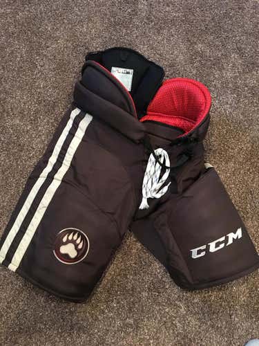 Hershey Bears CCM HP45X Pants Senior Medium