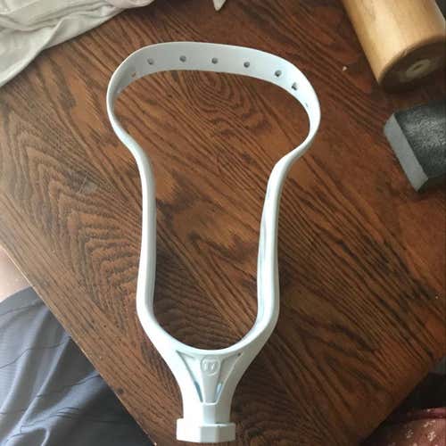 Tribe7 Sting7 Head