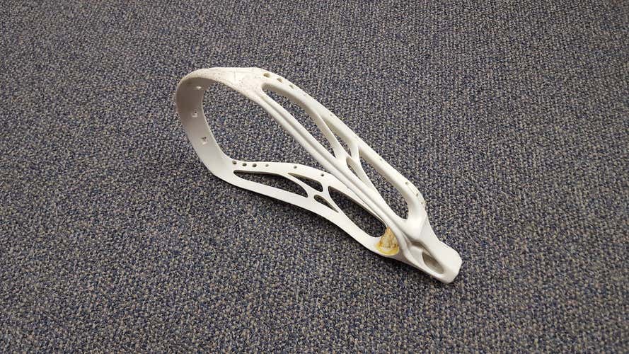 Warrior OG Evolution