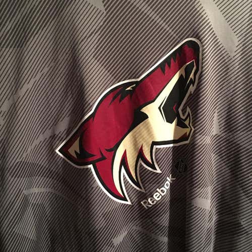 Arizona Coyotes Performance Reebok Shirt Medium
