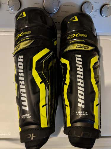 Warrior Shin Pads Senior