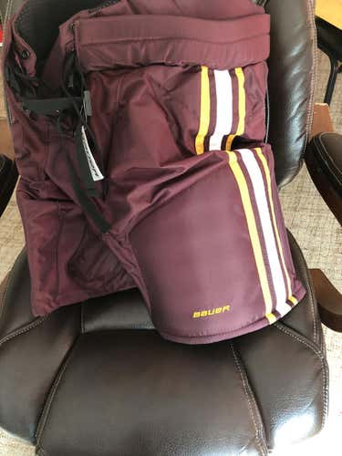 University of Minnesota gophers