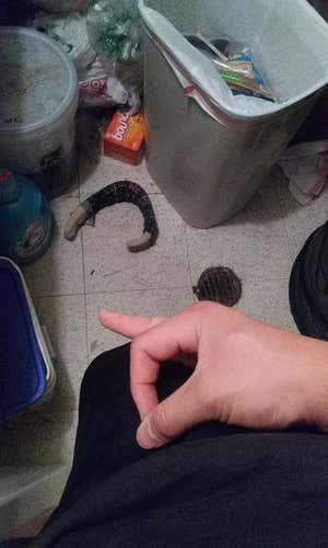 Brine King Superlight Gloves II