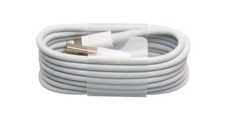Apple iPhone Charger