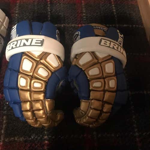 Used Once Charlotte Hounds MLL Gloves