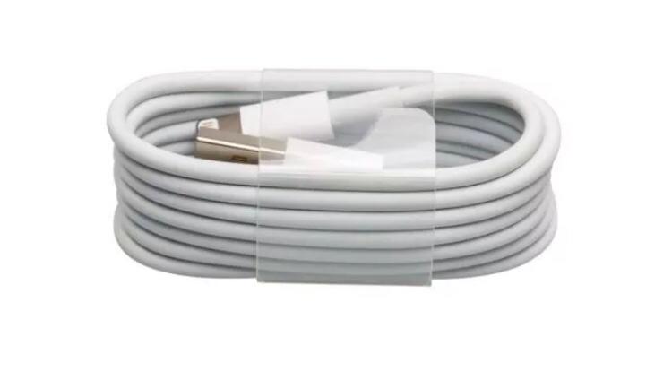 Apple iPhone Charger