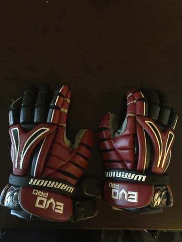 Warrior Evo Pro Gloves