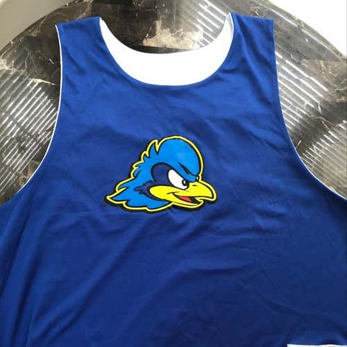 Delaware Lacrosse Tryout/Practice Pennie