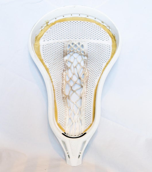 Warrior Evo Warp Next