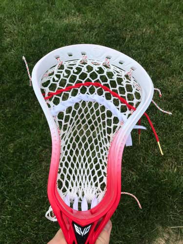 Custom Dyed Warrior Evo 5 Head