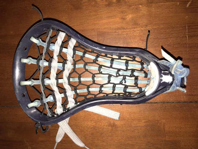 Blue Brine Traditional Head