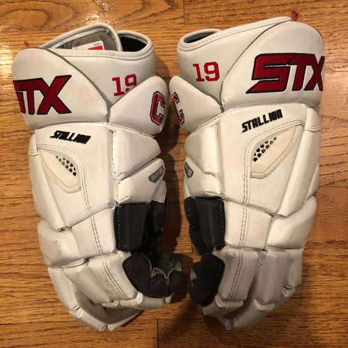 Cornell #19 Stallion 500 Gloves