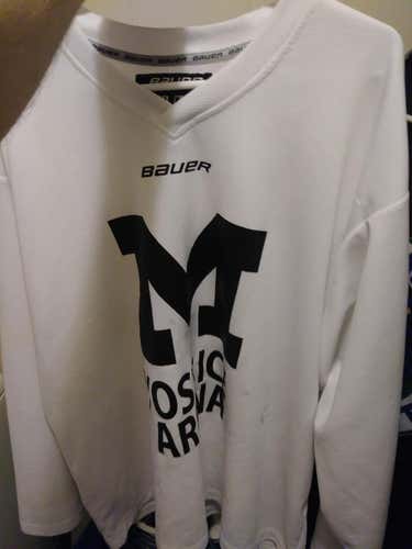 Michigan  yost arena