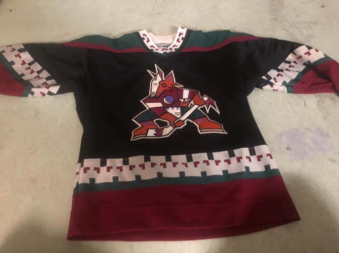 Vintage Arizona/Phoenix Coyotes Small/Medium Youth Jersey Black