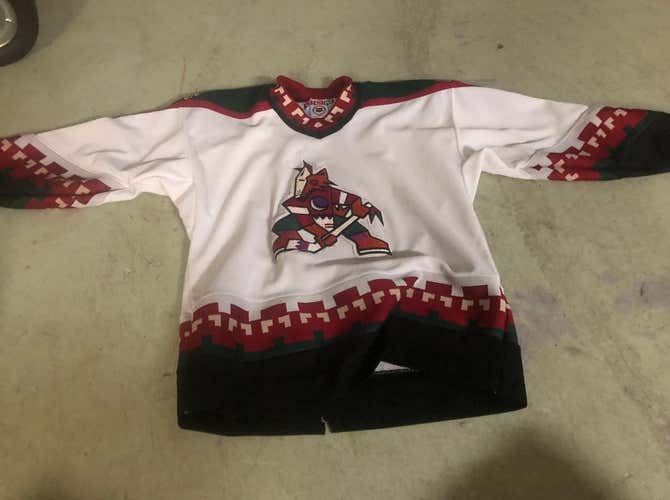 Vintage Arizona/Phoenix Coyotes Large/Extra-Large Youth Jersey White
