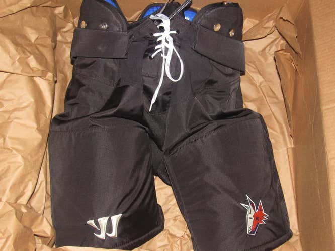 Arizona Coyotes THROWBACK Set