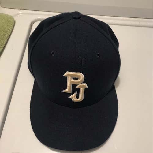 Pope John Lions Nike Team Cap