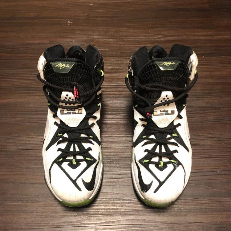 lebron 12s