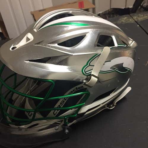 Jacksonville University Goalie Helmet