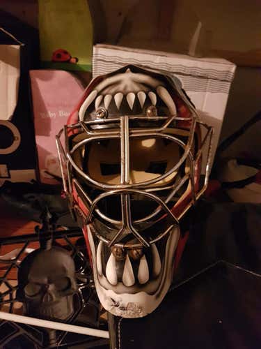 Itech 960 Goalie Mask Senior