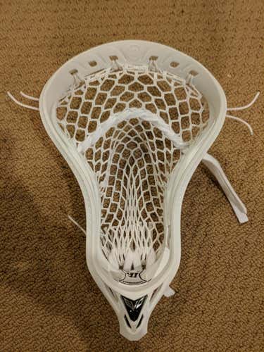 Warrior Evo 5 Head