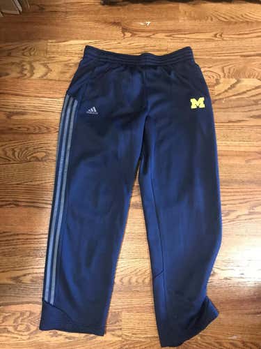 New Adidas Team Issued Michigan Sweat Pnats