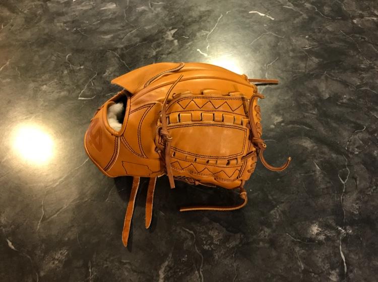 Custom 44 11.75” Dual Hinge Web