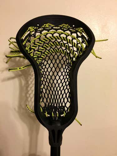 New Epoch Hawk Head