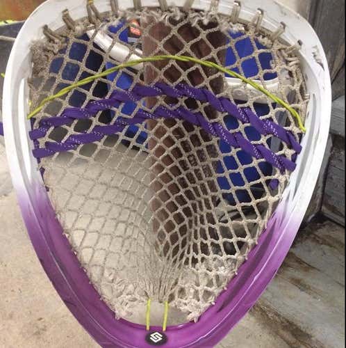 Purple/White STX Shield