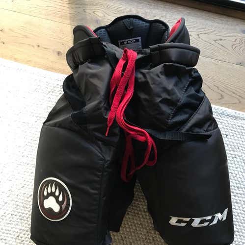 Pro Stock CCM Crazy Light (HPUCLP) Hershey Bears Pants