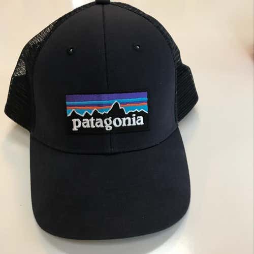 Blue Patagonia Truckers Hat Never Worn