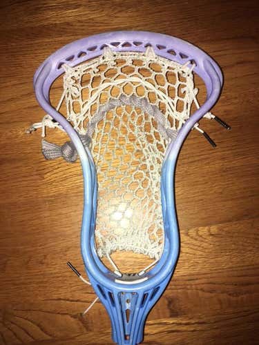 Tribe 7 Sceptre 7
