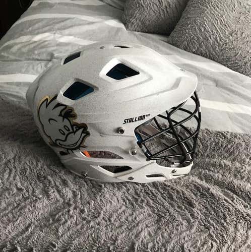 Used Johns Hopkins Stallion