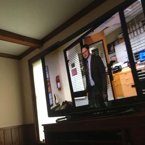 Trade Don’t Accept Plz Ignore