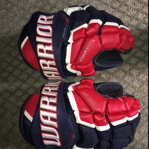 Red bull Salzburg Team Gloves