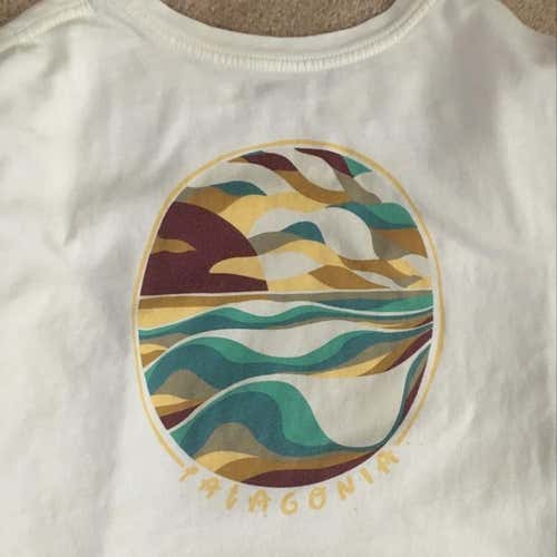 New Patagonia “Responsible” Tee