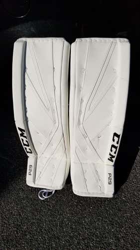 CCM P2.9